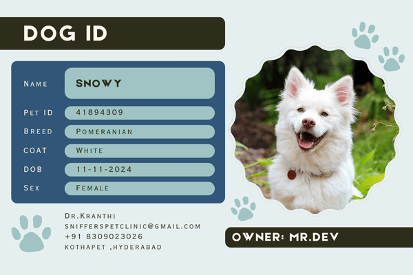 International pet shipping