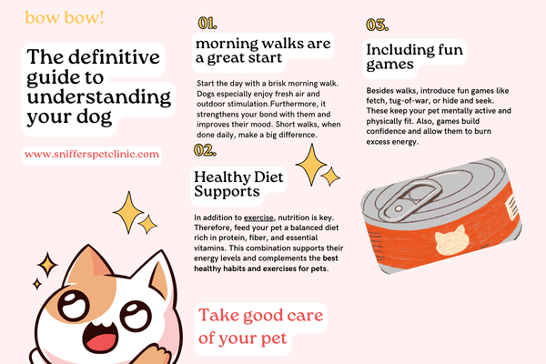 best healthy habits and exercises for pet
