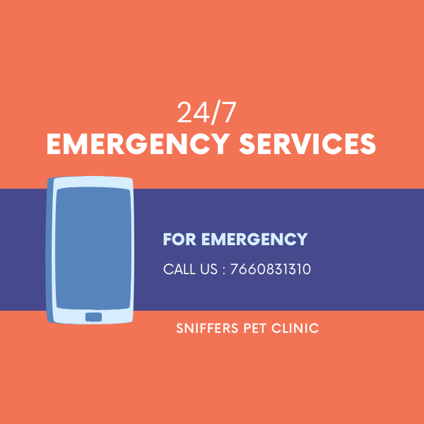 24/7 EMERGENCY VET CLINIC