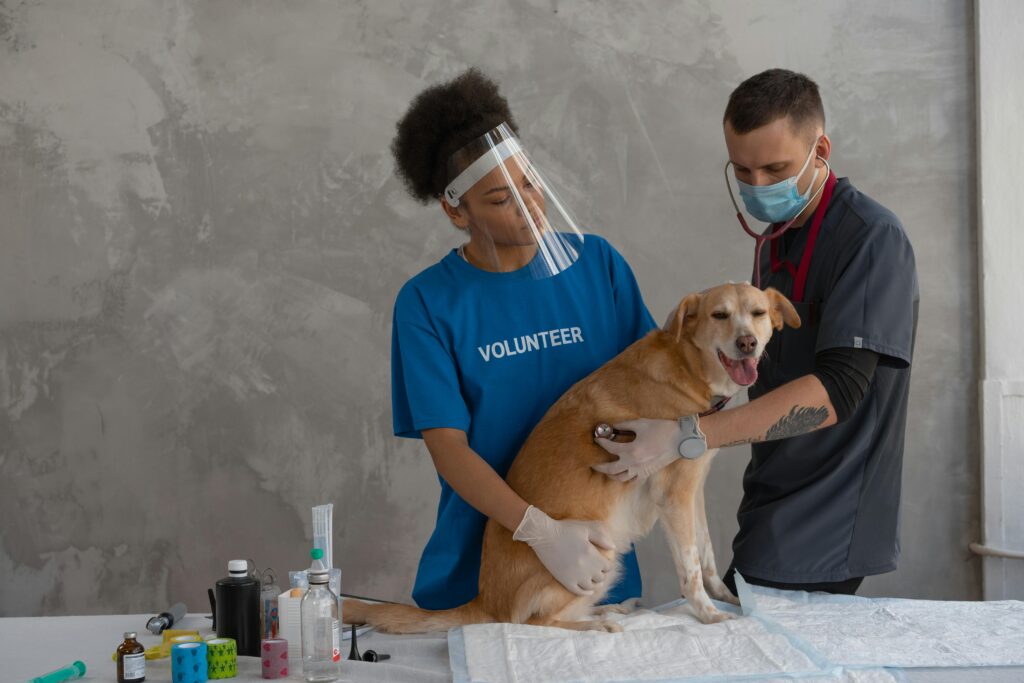 best dog clinic